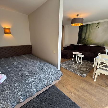 Ferienwohnung Cozy Garden Free Parking Wilna Exterior foto